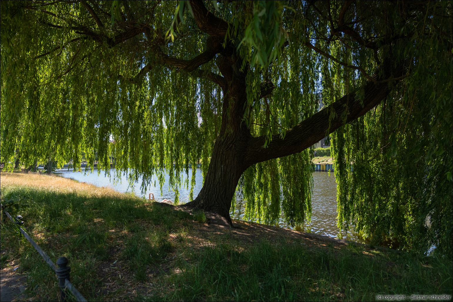 Read more about the article Spaziergang – Mierendorff-Insel-Rundweg / Charlottenburg