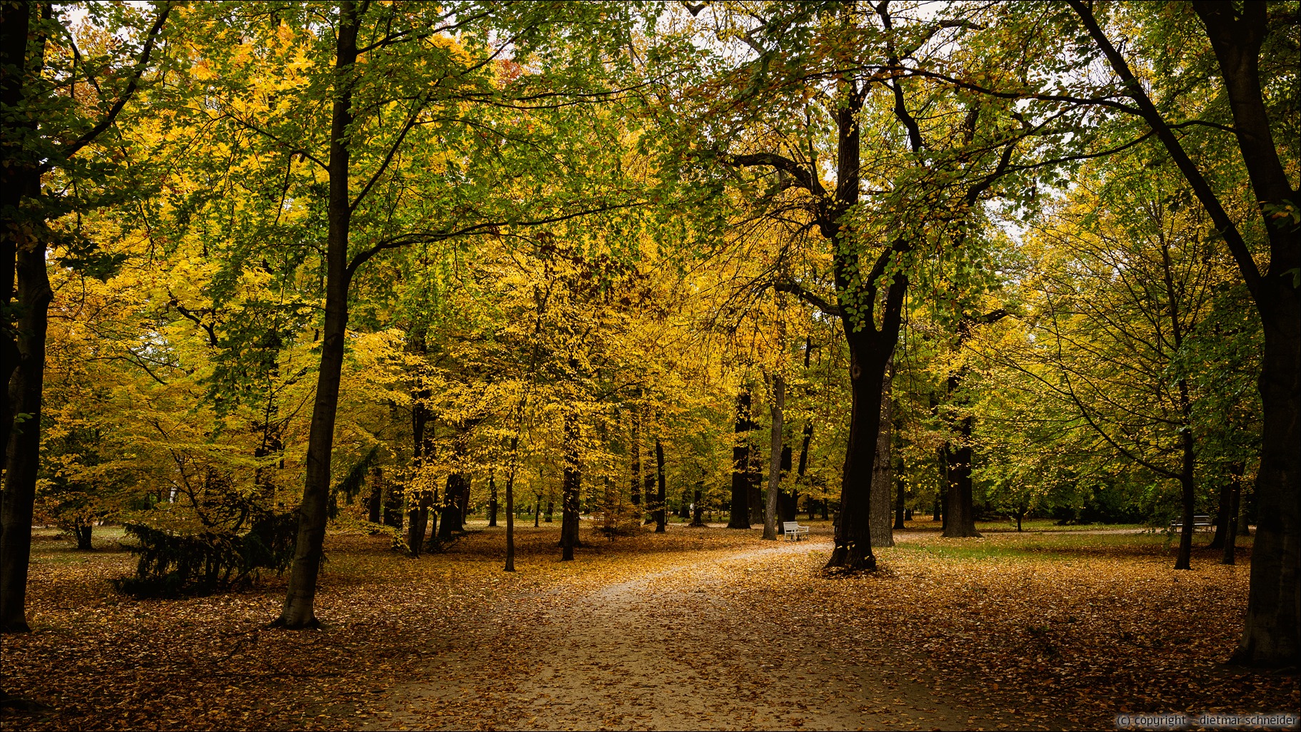 Read more about the article Herbstliches aus dem Schlosspark